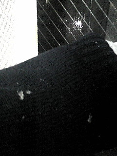 䂫I