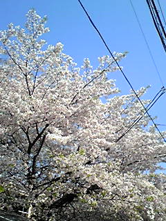 (untitled)
