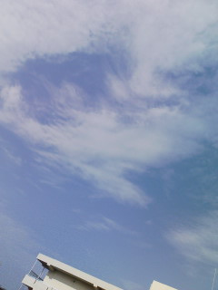 �����c