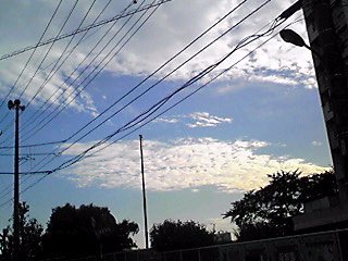 (untitled)