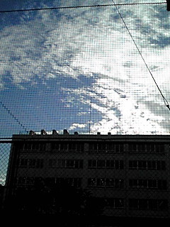 (untitled)