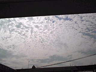 (untitled)
