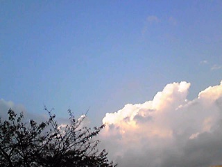 (untitled)
